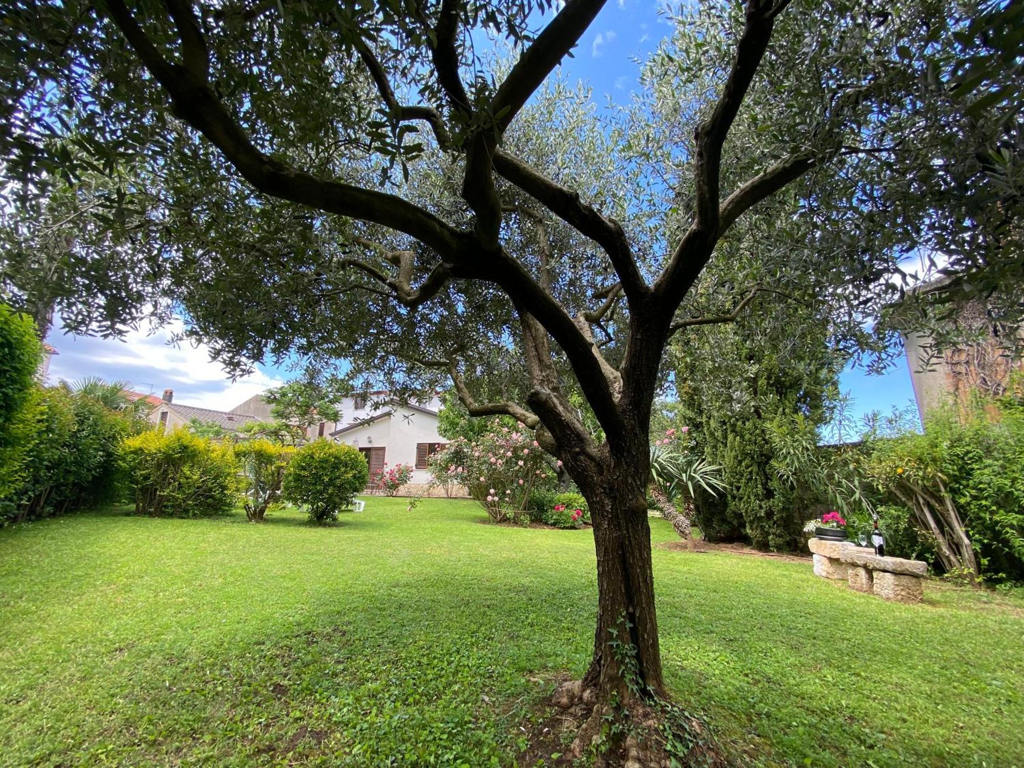 Bungalow Perla Funtana Εξωτερικό φωτογραφία