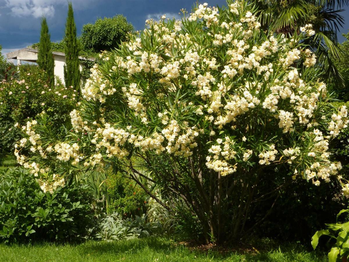 Bungalow Perla Funtana Εξωτερικό φωτογραφία